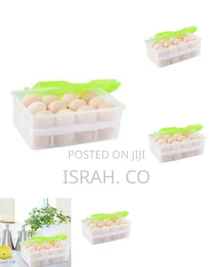 Plastic Double Egg Tray Storage