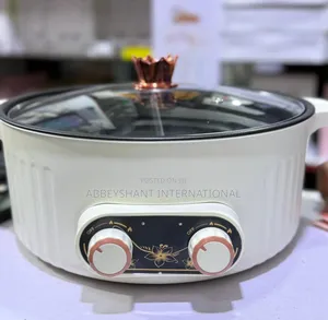 Hot Pot Cooker With Divided Cooking Sections.