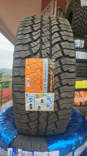265/55r19 All Season All Roads Joyroad Tyres