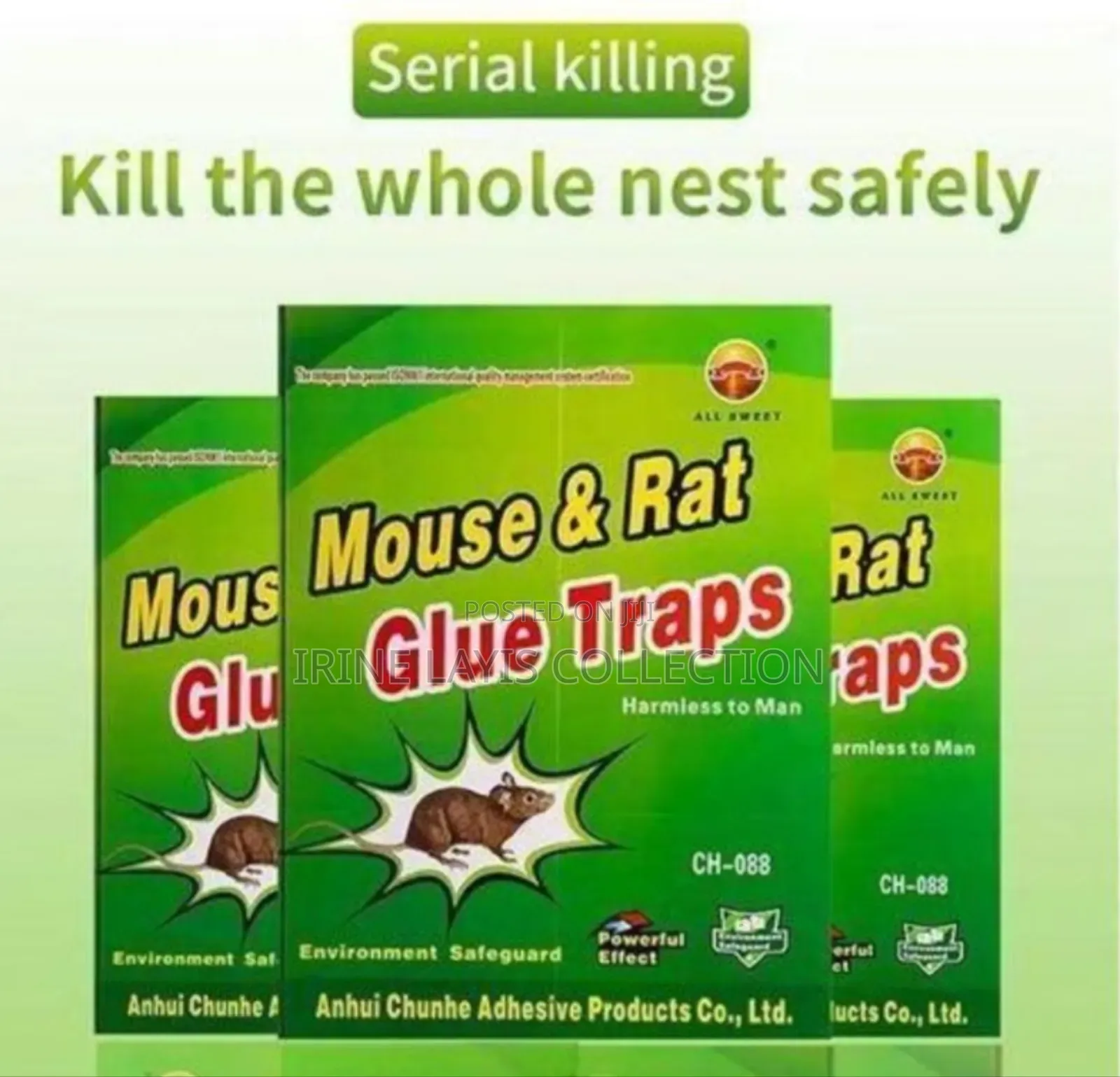 Rat And Mouse Book Trap