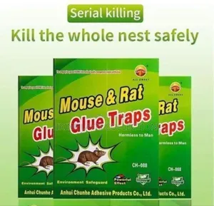 Rat And Mouse Book Trap