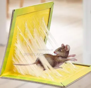 Rat And Mouse Book Trap