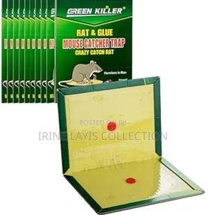Rat And Mouse Book Trap