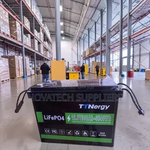 3.84kwh Ttnergy 300ah Deep Cycle Lifepo4 Battery