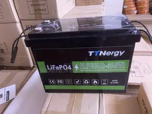 300ah Ttnergy Lifepo4 Battery – Reliable 3.84kwh Storage