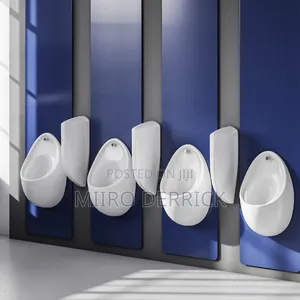 Urinal Seperator