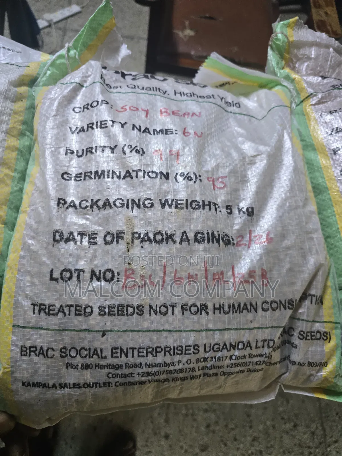 Soya Beans Seeds