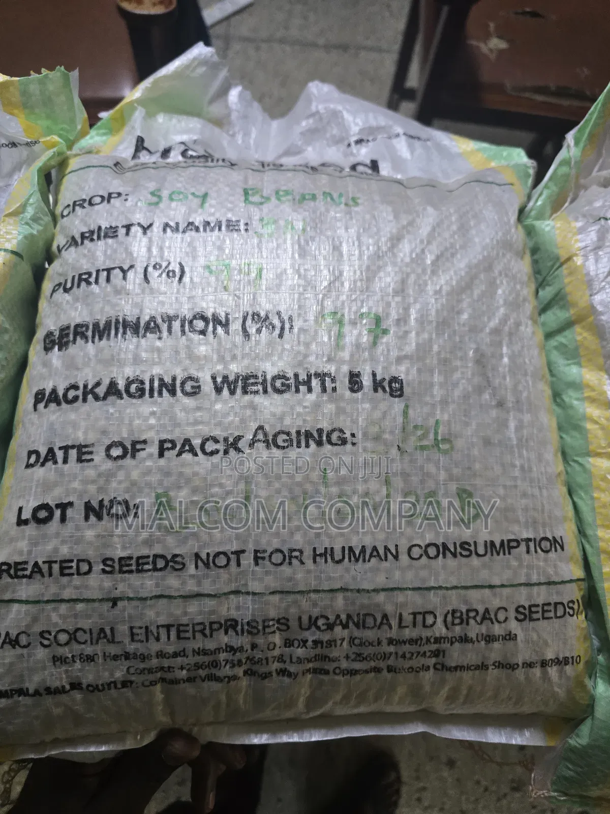 Soya Beans Seeds