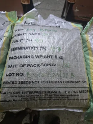 Soya Beans Seeds