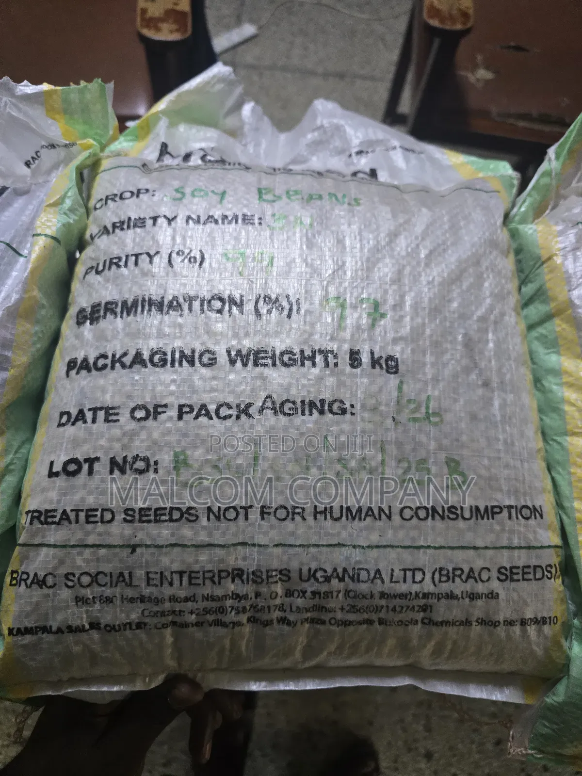 Soya Beans Seeds