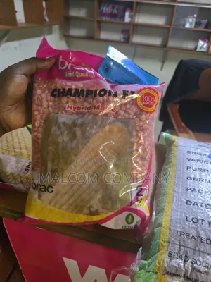 Hybrid Maize Seeds- Champion F1 10kg/Acre