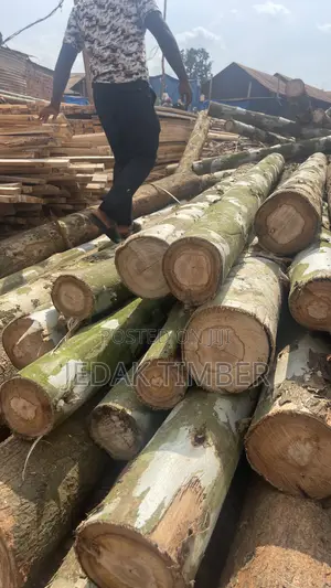 Timber at Discount Price