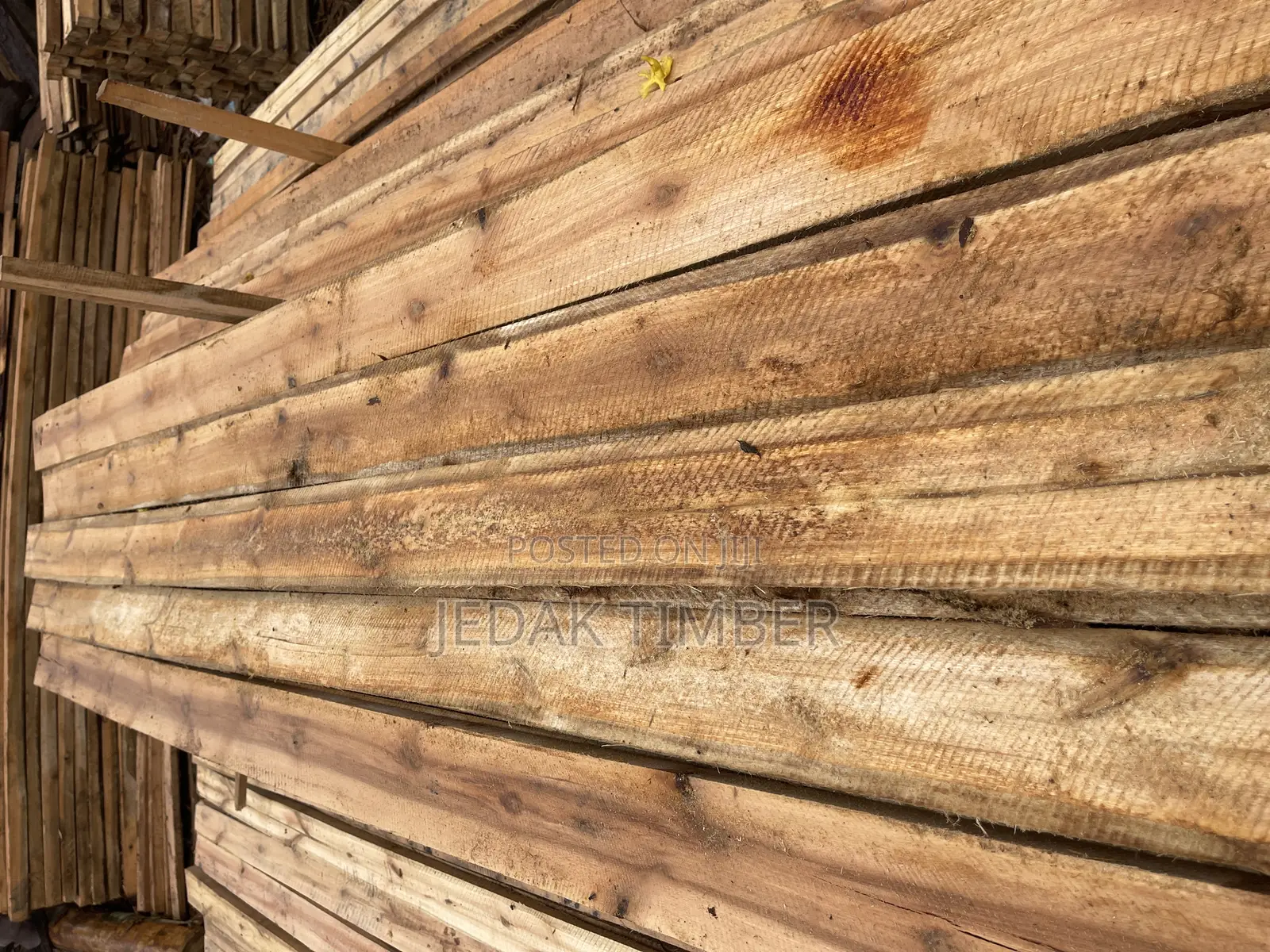 Timber at the Lowest Price