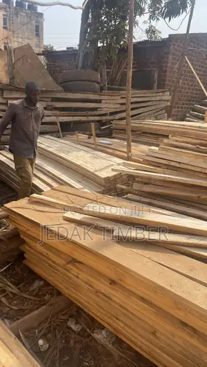 Timber Big and Small