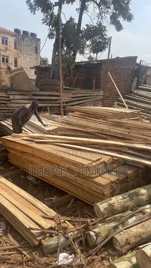 Timber Big and Small