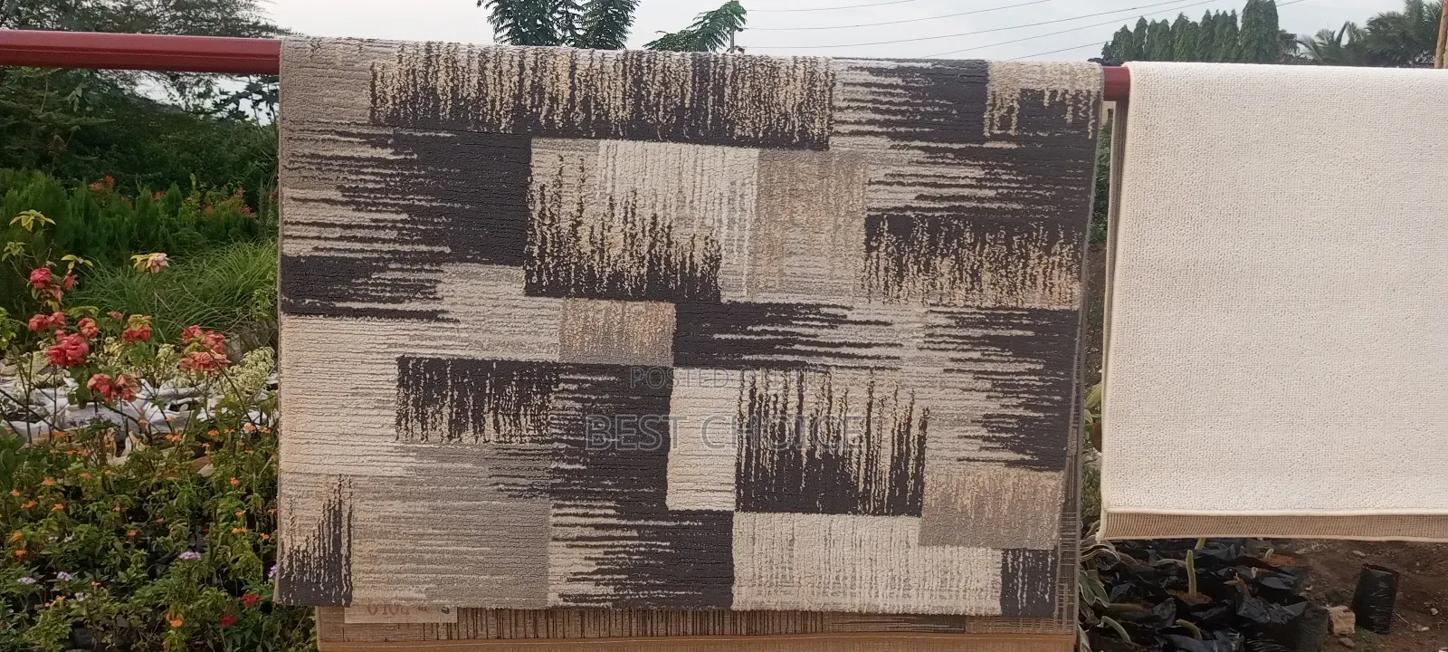 Cleaning Carpets for Healthy Homes, Book Now.