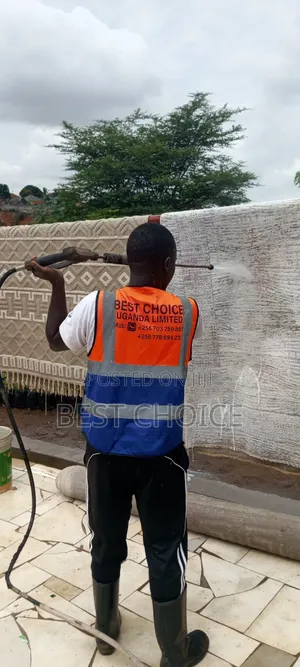 Professional Carpet Cleaning Services Reviving Your Carpets