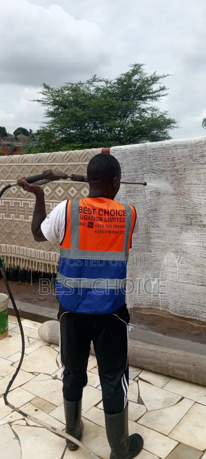 Professional Carpet Cleaning Services Reviving Your Carpets