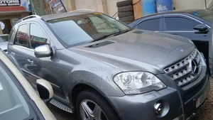 Mercedes-Benz M Class 2009 Gray