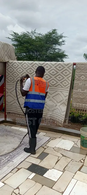 Expert Carpet Cleaning Services, Love Your Carpets Again