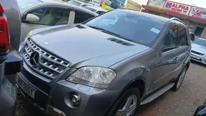 Mercedes-Benz M Class 2009 Gray