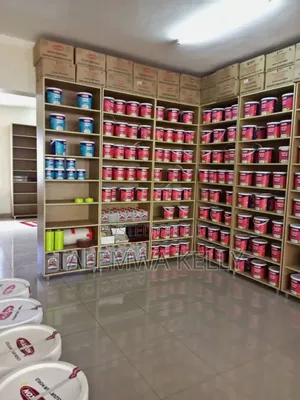 Plascon Paint-Vinyl Silk