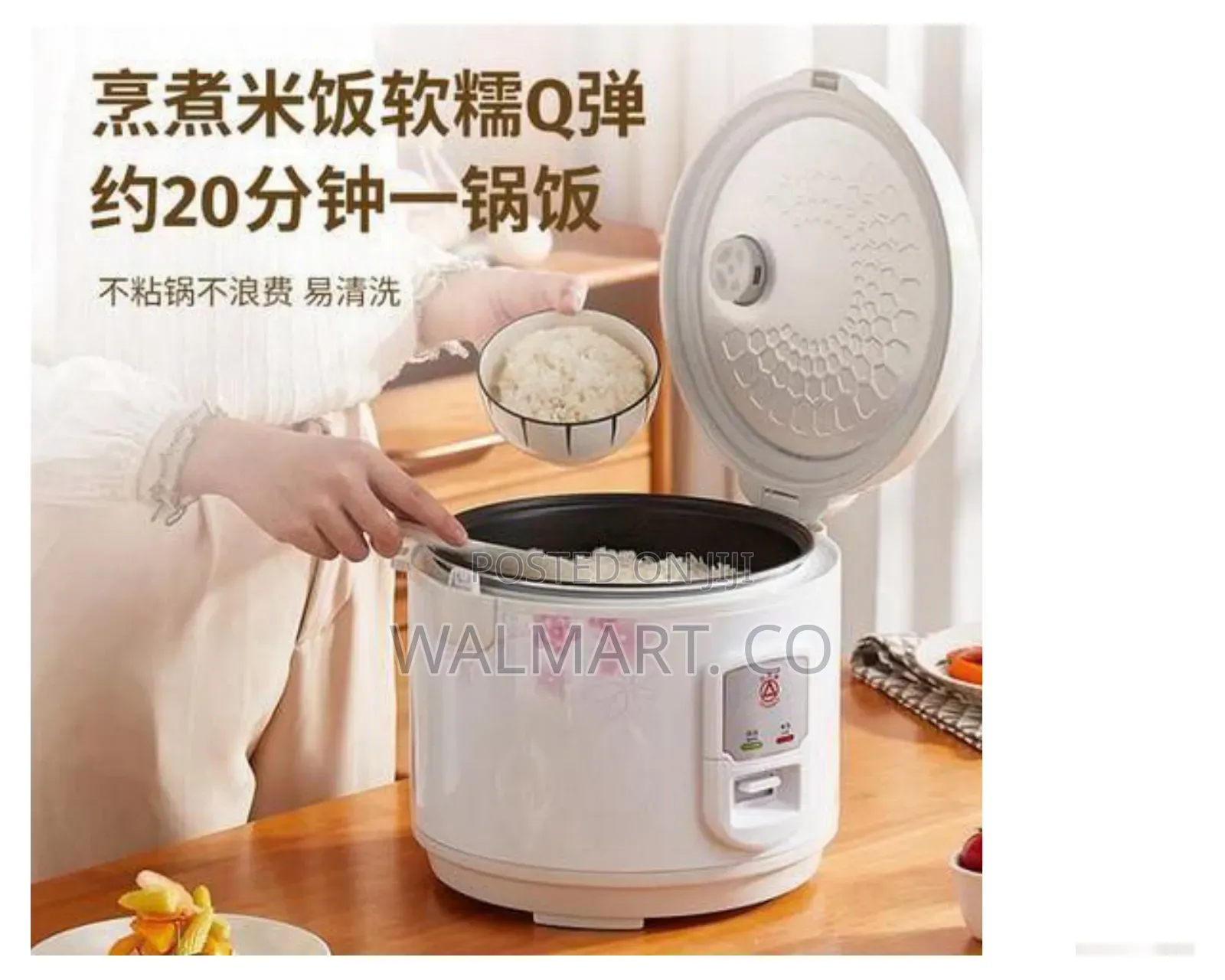 Automatic Compact Electric Rice Cooker