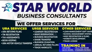 Tax Consultantancy and Accountancy