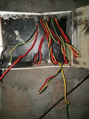 Electrician