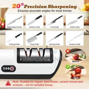 Cordless Electric Knife Sharpener