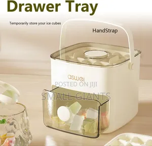 Aswei Portable Ice Cube Maker and Storage Box