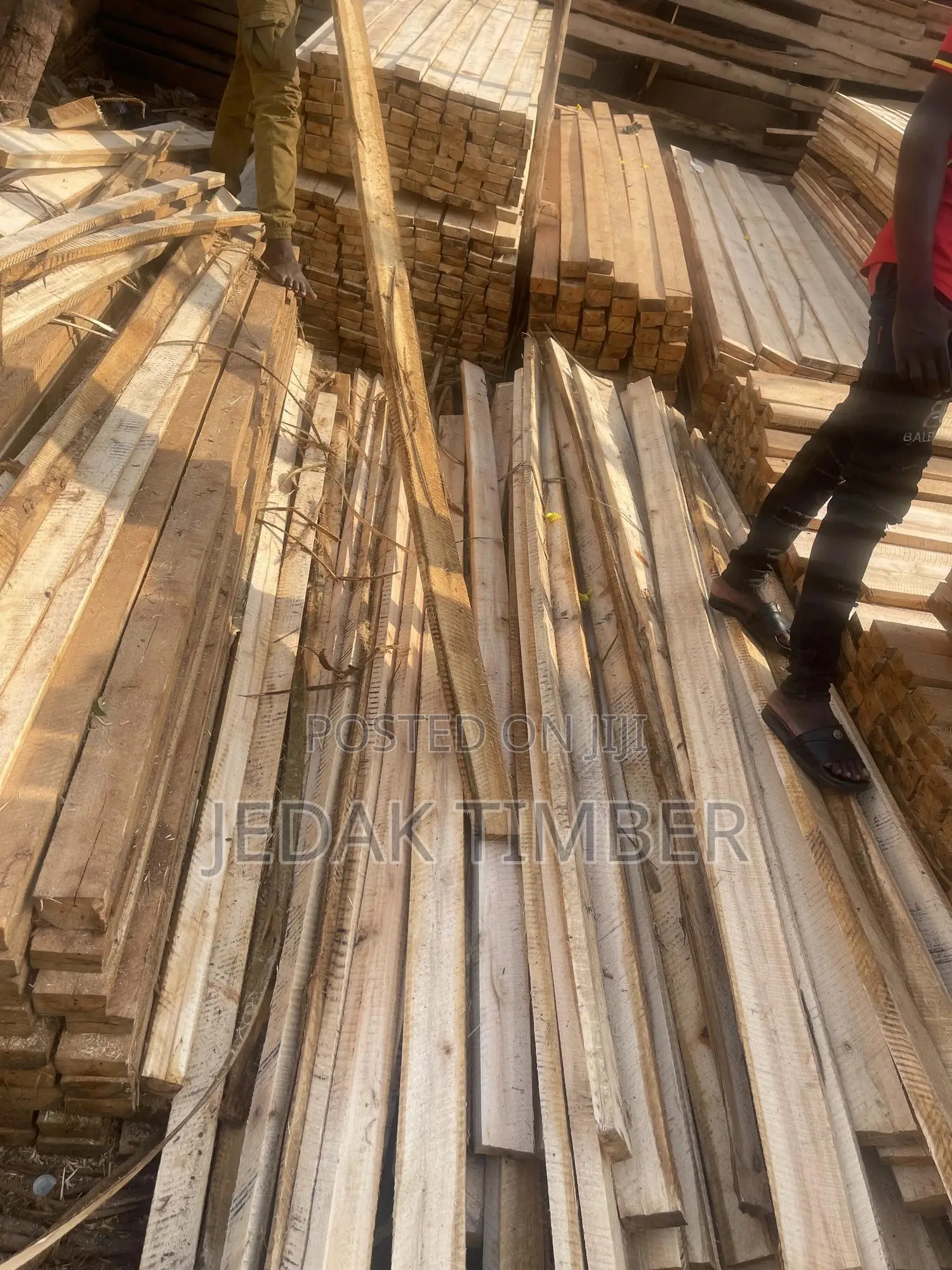 Timber Cheap Price