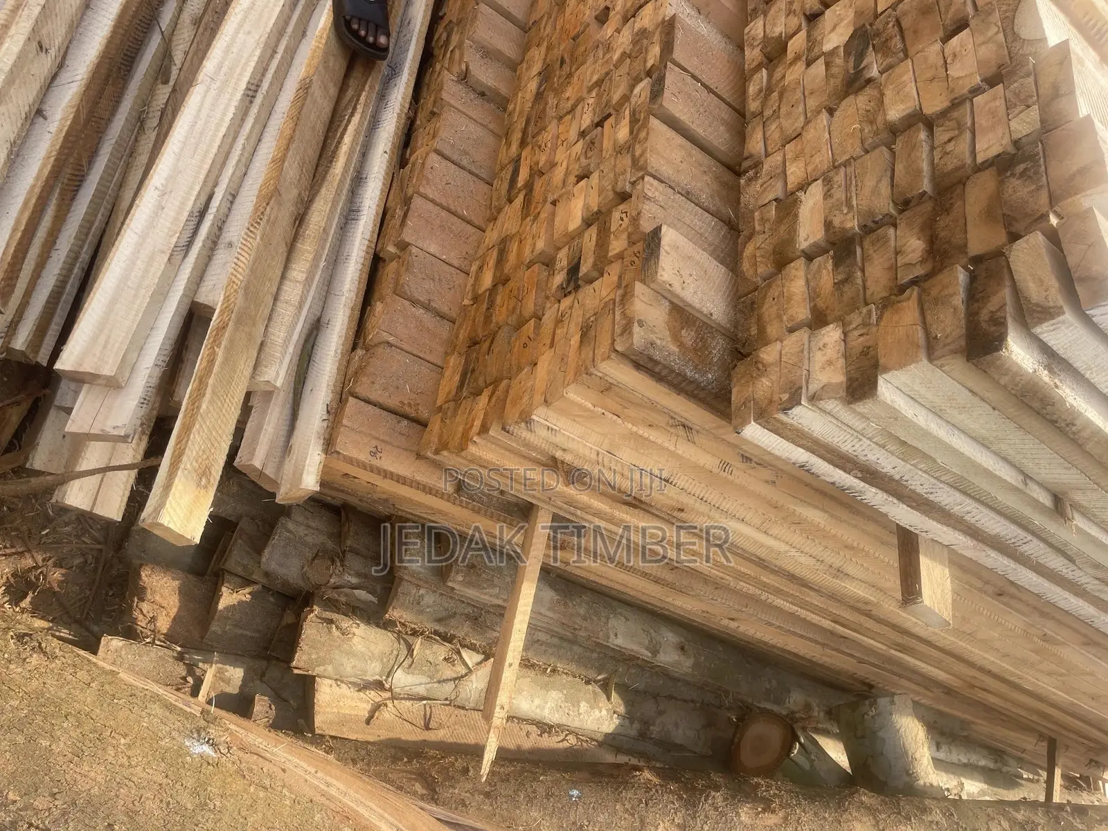 Timber Cheap Price