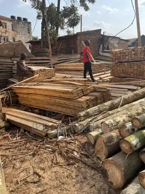 Timber Cheap Price