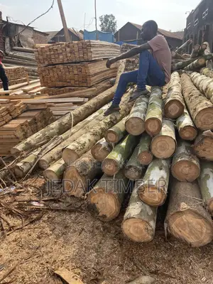 Timber Cheap Price