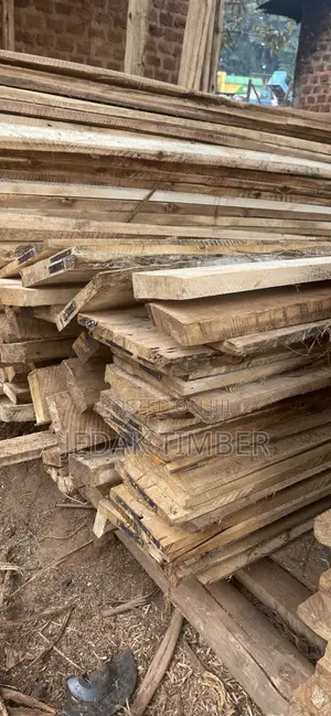 Timber Discounted Price