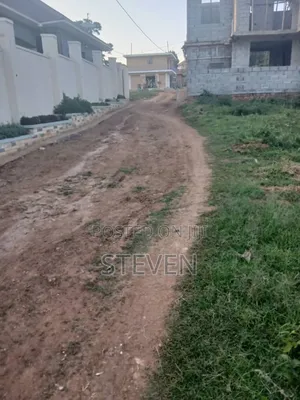 Entebbe Plot