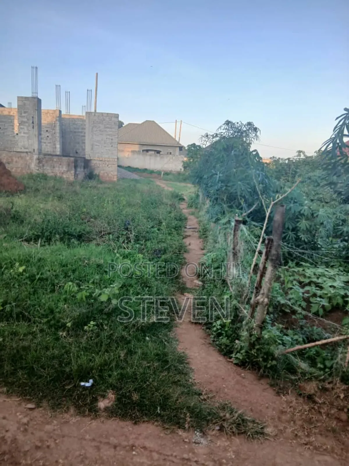 Entebbe Plot