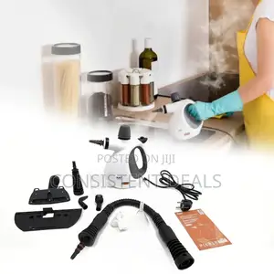 Raf Electric Steam Cleaner