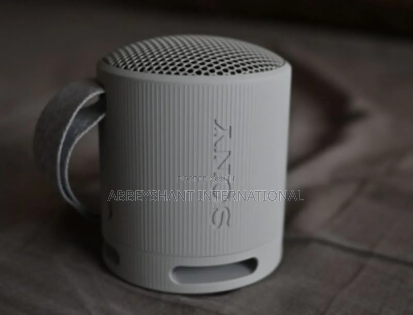 Sony SRS-Xb100 Wireless Bluetooth Portable Speaker.