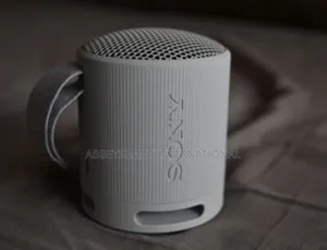 Sony SRS-Xb100 Wireless Bluetooth Portable Speaker.