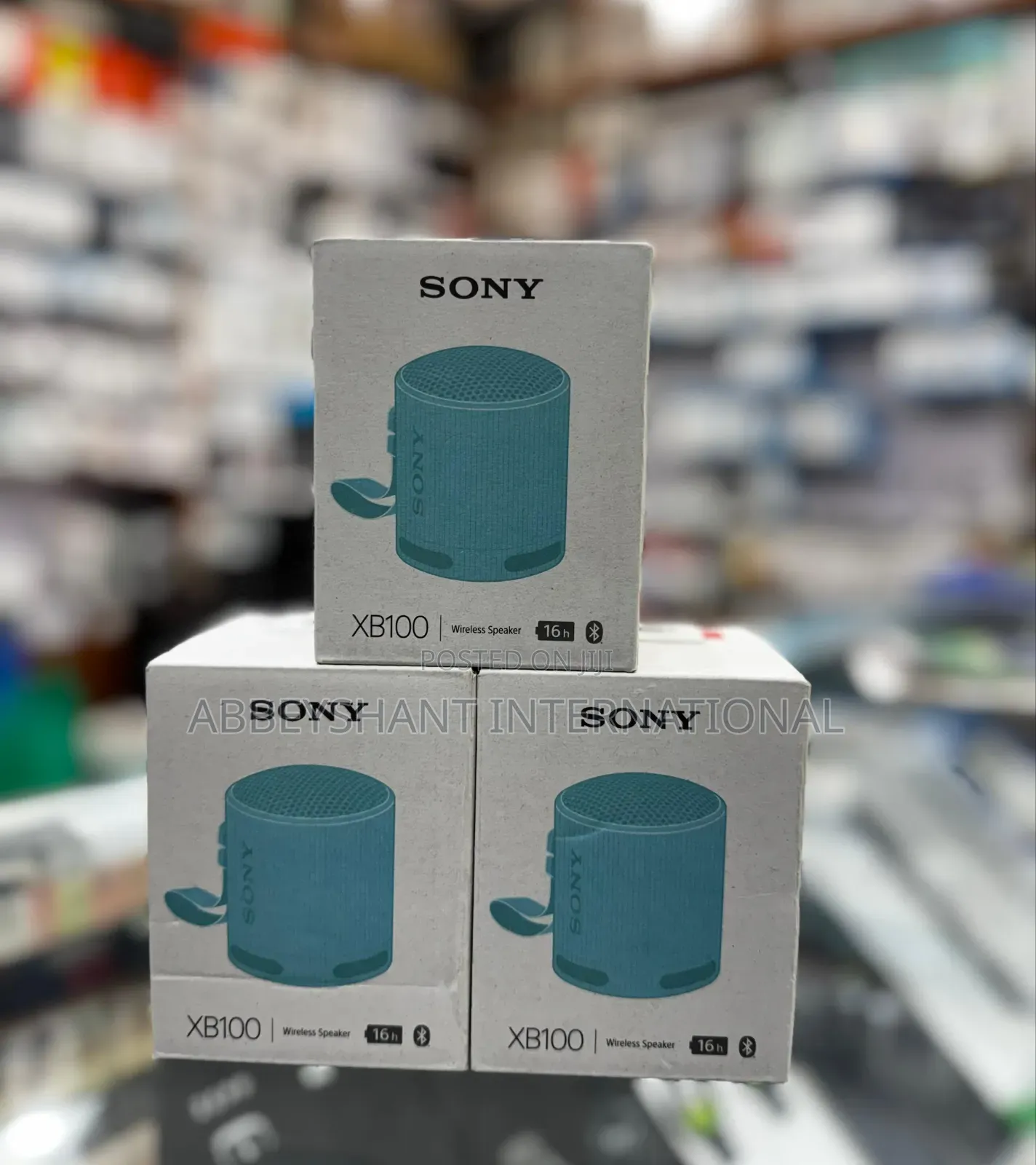 Sony SRS-Xb100 Wireless Bluetooth Portable Speaker.