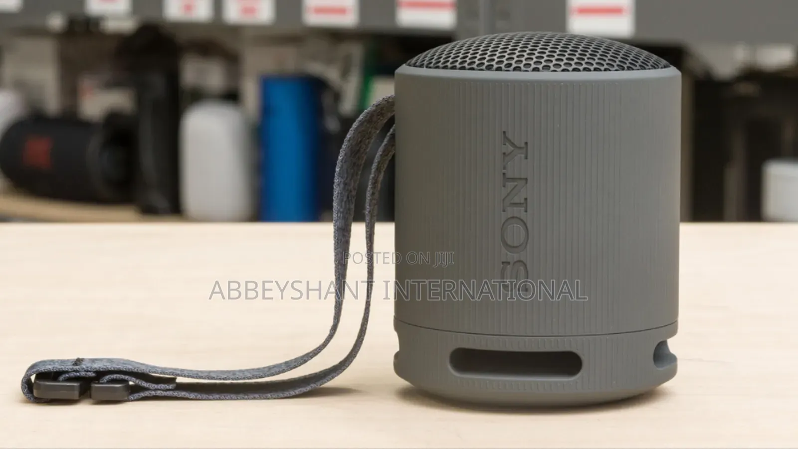 Sony SRS-Xb100 Wireless Bluetooth Portable Speaker.