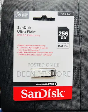256gb Sandisk Flash Drive