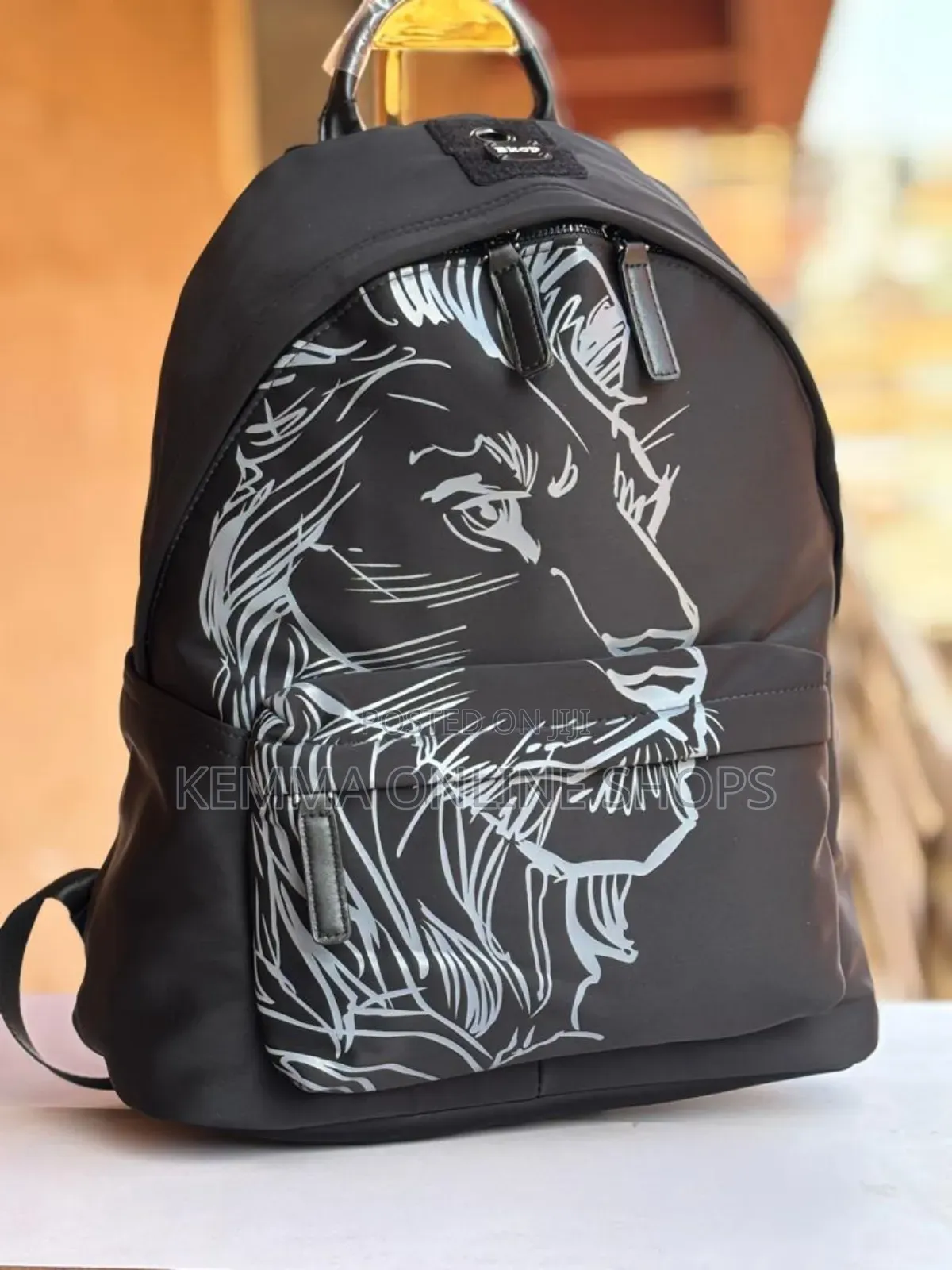 Water Proof PVC Backpacks