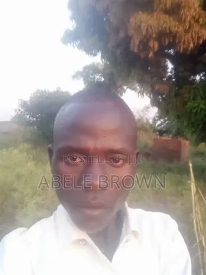 Sales Agent