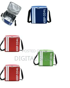 10l Portable Thermal Insulated Travel Basket Cooler Bag