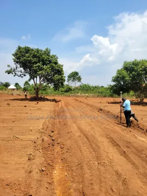 Zirobwe Wabitungulu