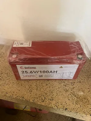 100ah 24v Gopower Lithium Battery ( 14yrs Lifespan)