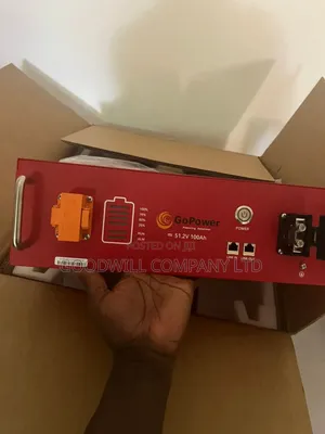 5kwh Gopower Lithium Iron Phosphate Battery